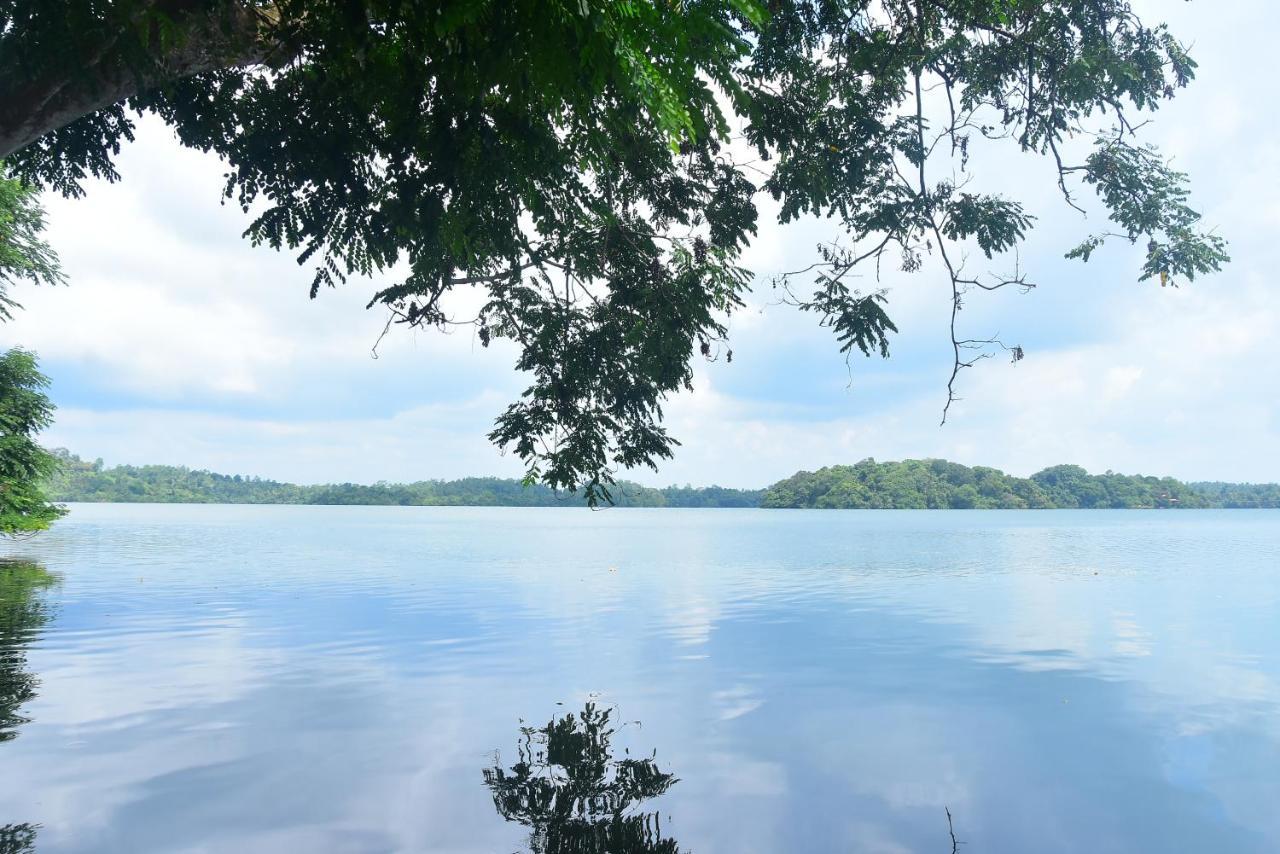 Villa Araliya Hikkaduwa Buitenkant foto