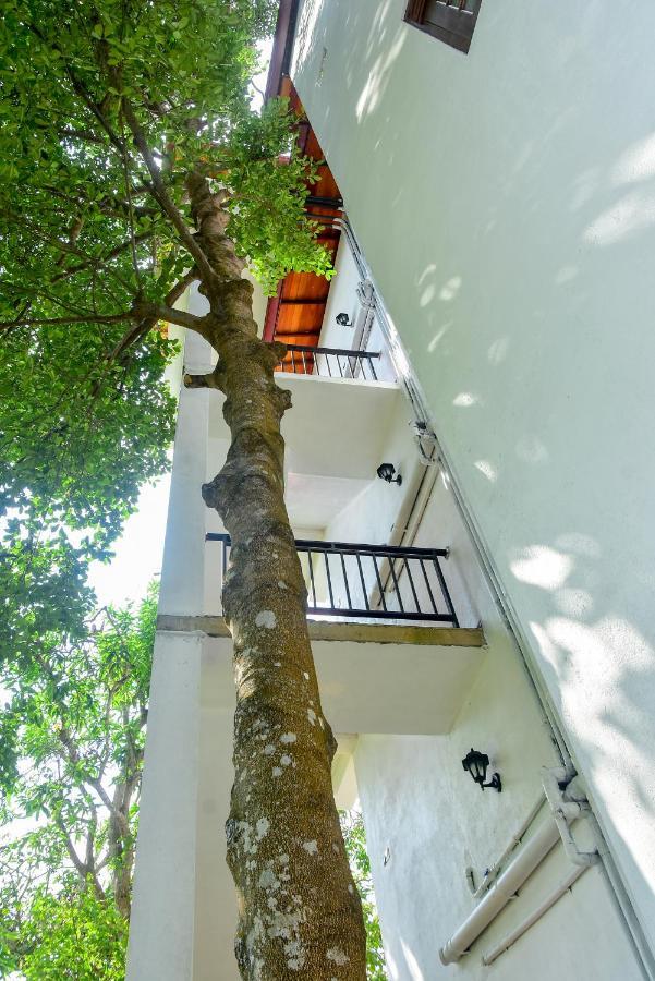 Villa Araliya Hikkaduwa Buitenkant foto